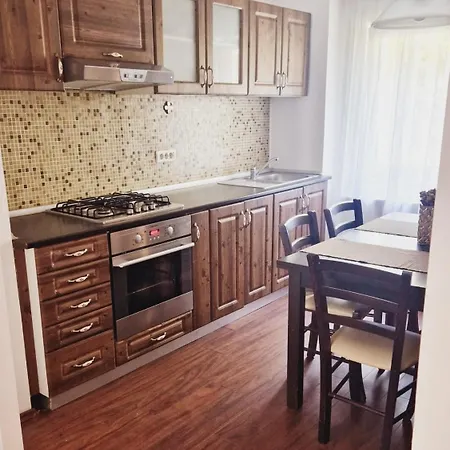 Apartment The Mountain View Brasov